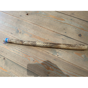 rainstick-cactus-dun-75cm-a_1_338567971