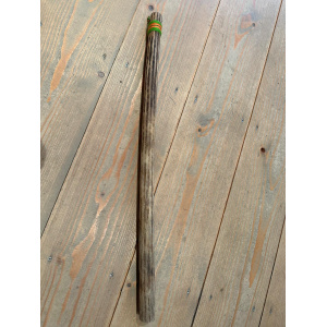 rainstick-cactus-dun-75cm-b_1