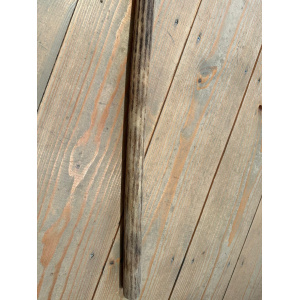 rainstick-cactus-dun-75cm-b_3