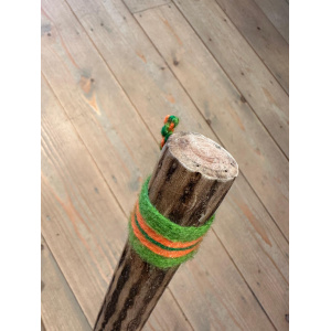 rainstick-cactus-dun-75cm-b_4