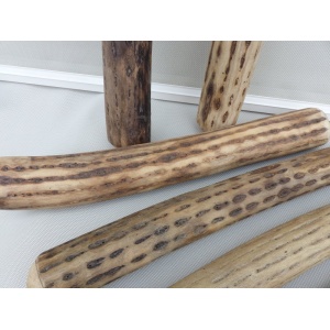 regenstok_rainstick_50cm-dik_2_cactus