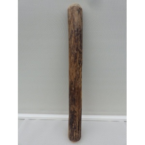 regenstok_rainstick_50cm-dik_a1_cactus