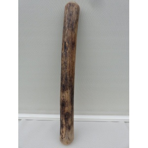 regenstok_rainstick_50cm-dik_a_cactus