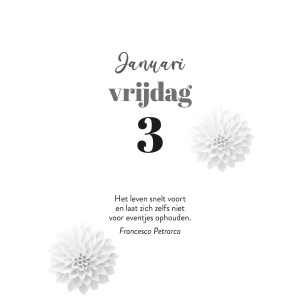 scheurkalender-2025-elke-dag-een-mooie-spreuk_2