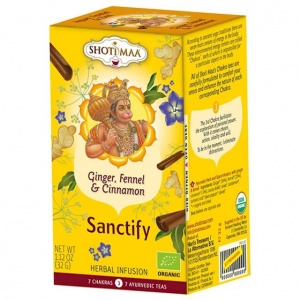 shoti_maa_sanctify_chakra_3_thee