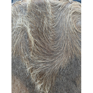 sjamanendrum-sjamanentrommel-verstelbaar-waterbuffel-cederhout-rhodoniet_2