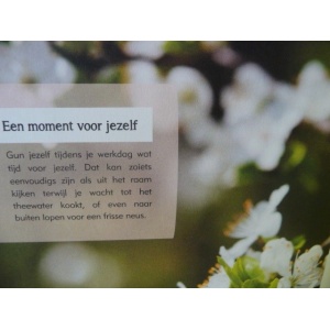 slow_down_relax_en_focus_in_een_hectische_wereld-h