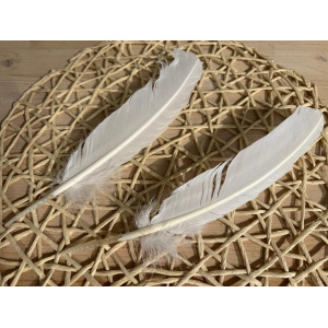 smudge-veer-witte-gans_2