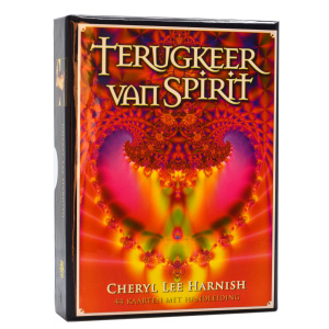 terugkeer-van-spirit-inzichtkaarten_1