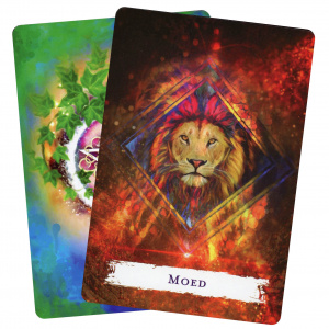 wicca-rituelen-bezweringen-orakelkaarten_8