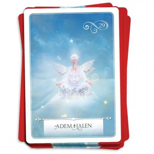 wijsheid-van-het-orakel-colette-baron-reid_10