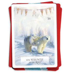 wijsheid-van-het-orakel-colette-baron-reid_12