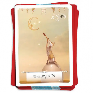 wijsheid-van-het-orakel-colette-baron-reid_6