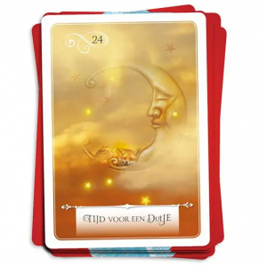 wijsheid-van-het-orakel-colette-baron-reid_9