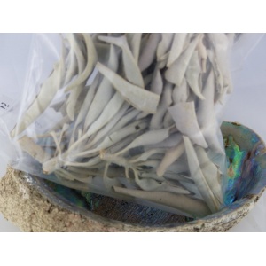 Witte Salie of White Sage 25 gram