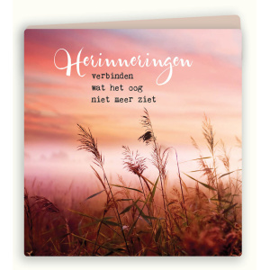 zintenz-wenskaart-herinneringen-verbinden-wat-het-oog-niet-meer-ziet-tk42